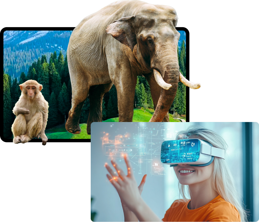 Flexible 3D Display Options